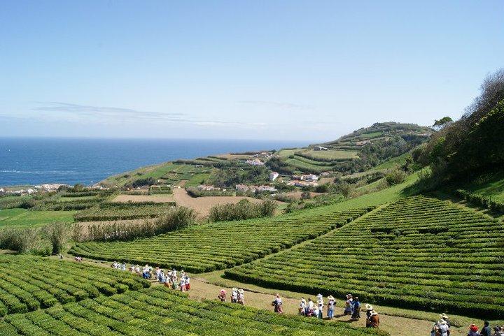 فيلا Ribeirinha House Porto Formoso المظهر الخارجي الصورة